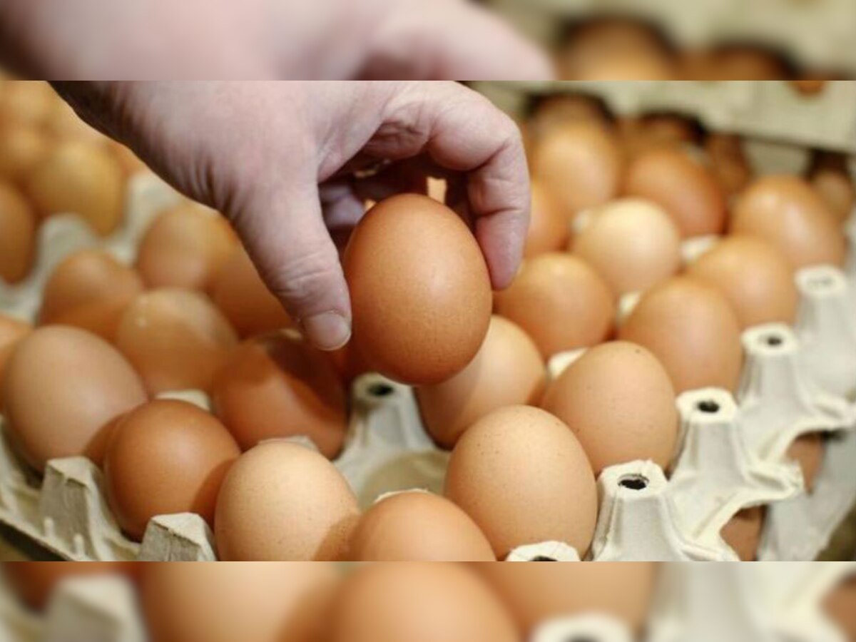 कनाडा में मांट्रियल की मैकग्रिल यूनिवर्सिटी ने नई तकनीक के माध्‍यम से अंडे के खोल की आंतरिक संरचना का अध्‍ययन किया.