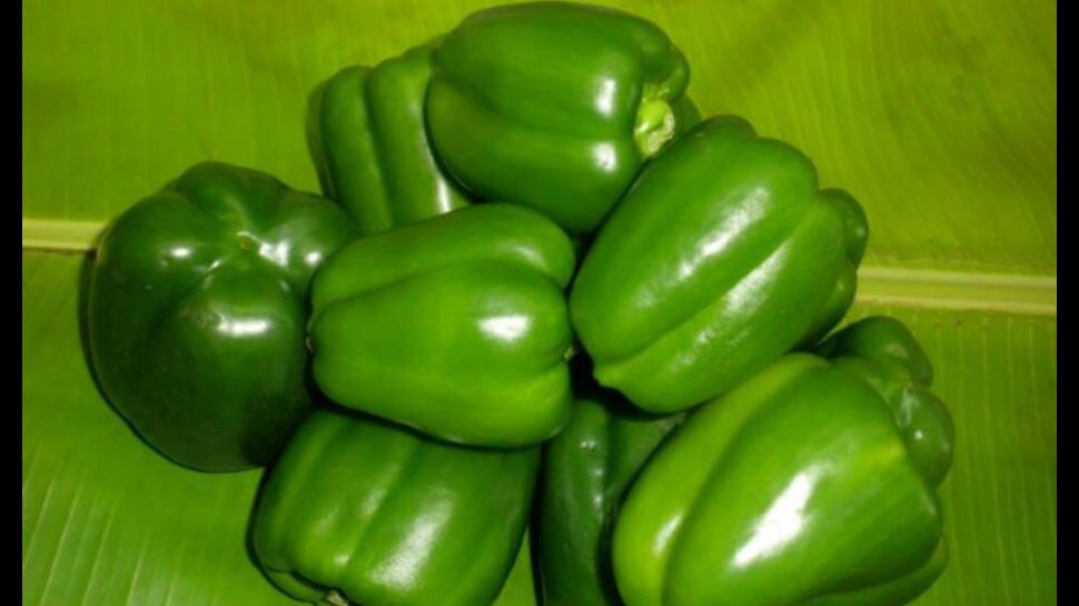 Capsicum is the secret of Madhuri Dixit beauty and fitness Capsicum is the secret of Madhuri Dixit beauty and fitness