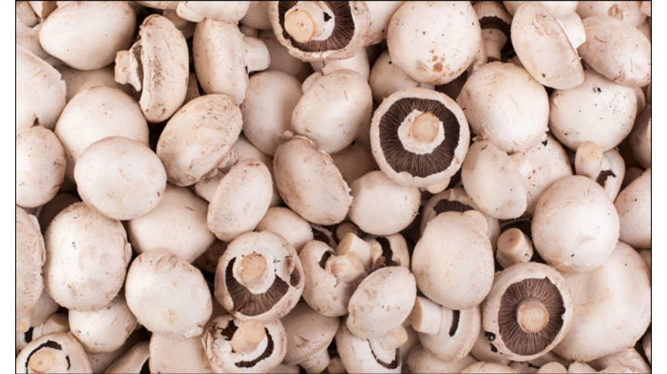 you should not heat these foods again after cooking you should not heat these foods again after cooking