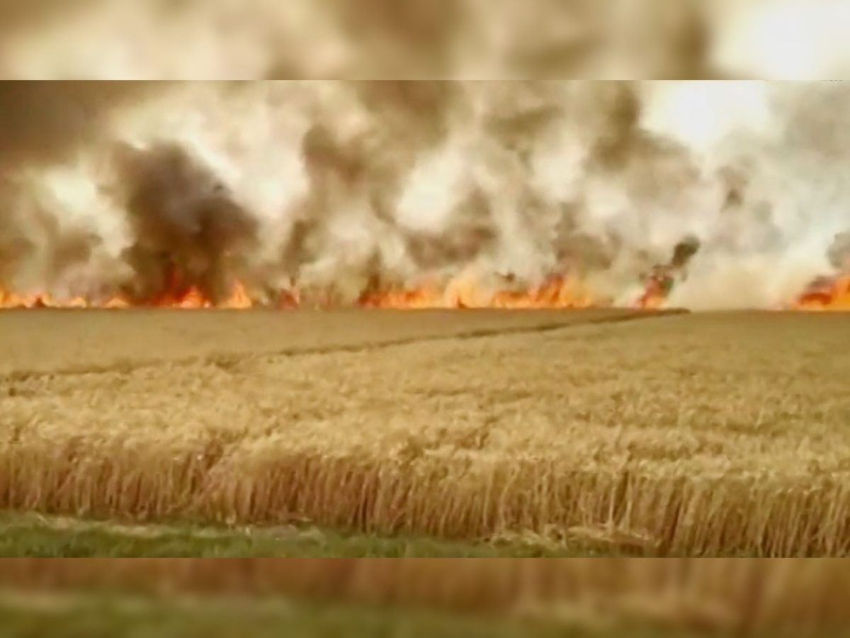 हरियाणा के पानीपत जिले में करीब 271 एकड़ गेहूं की खड़ी फसल आग ने स्वाहा कर दी