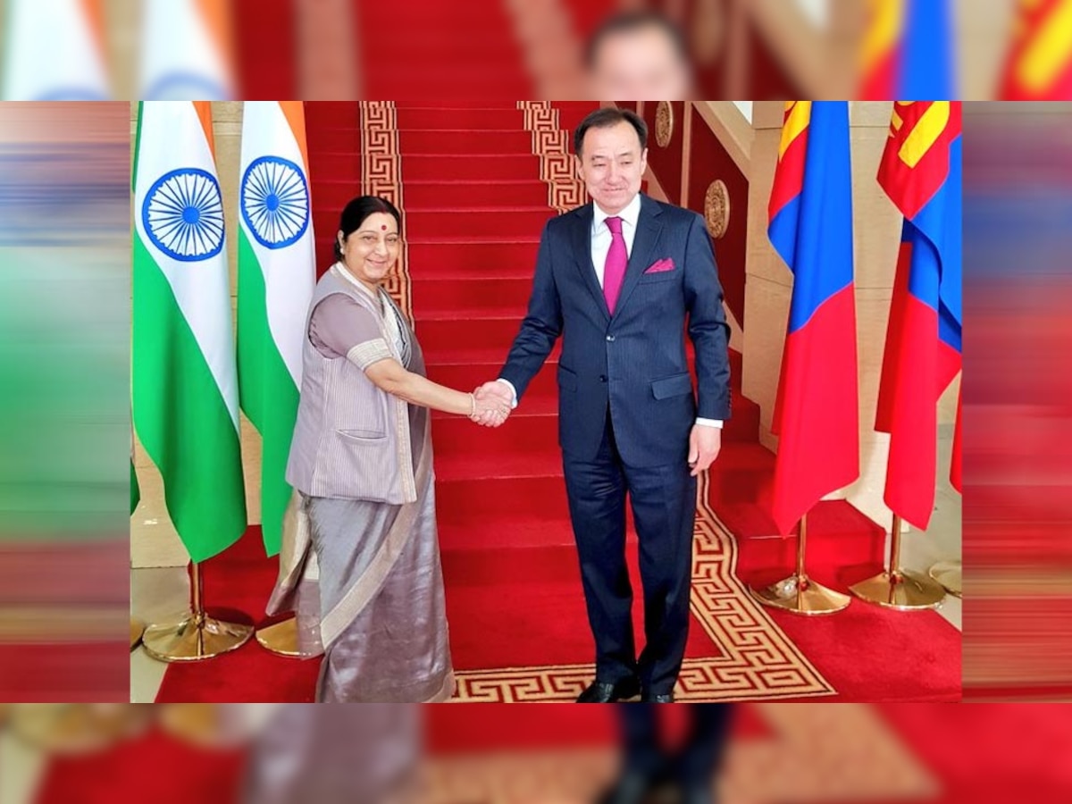 मंगोलियाई समकक्ष डी तोगतबातर के साथ संयुक्त मीडिया सम्मेलन के दौरान विदेश मंत्री सुषमा स्वराज. (MEAIndia/Twitter/25 April, 2018)