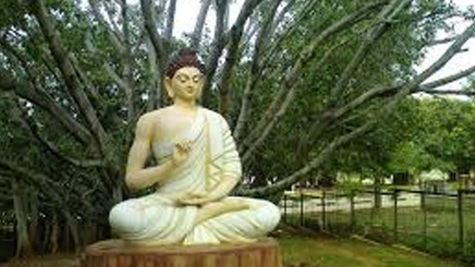 Mahabodi tree in bodhgaya where buddha have attained enlightenment Mahabodi tree in bodhgaya where buddha have attained enlightenment