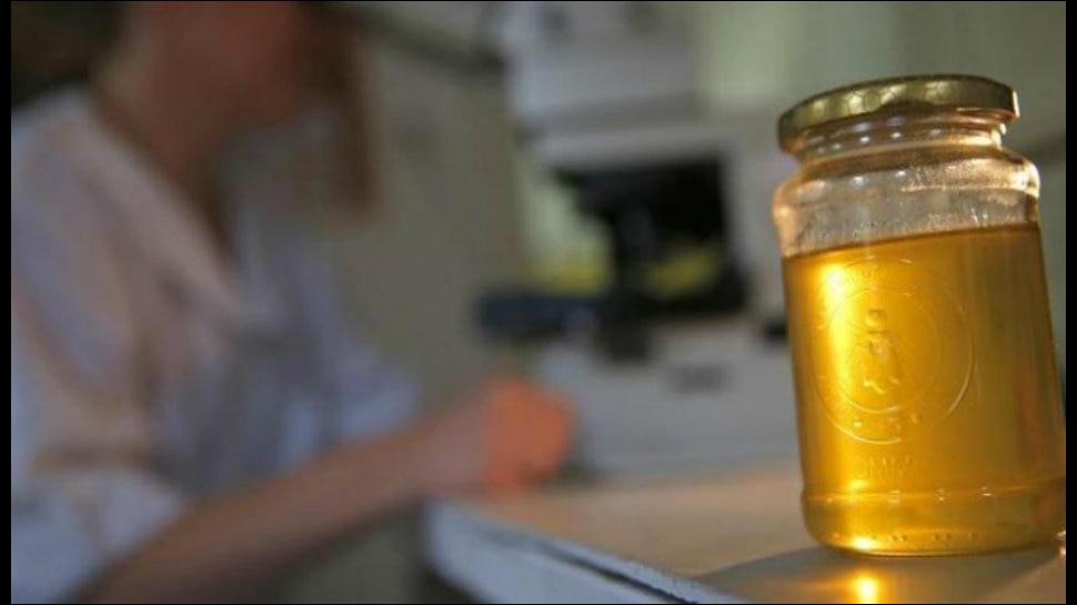 Health benefits of including honey in your diet