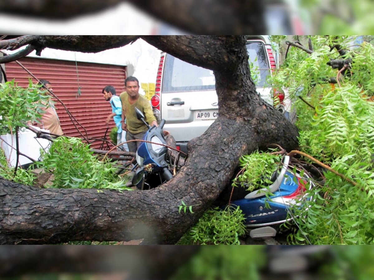 हैदराबाद में आए तूफान के बाद शहर में कई जगह पेड़ उखड़ गए. फोटो : पीटीआई