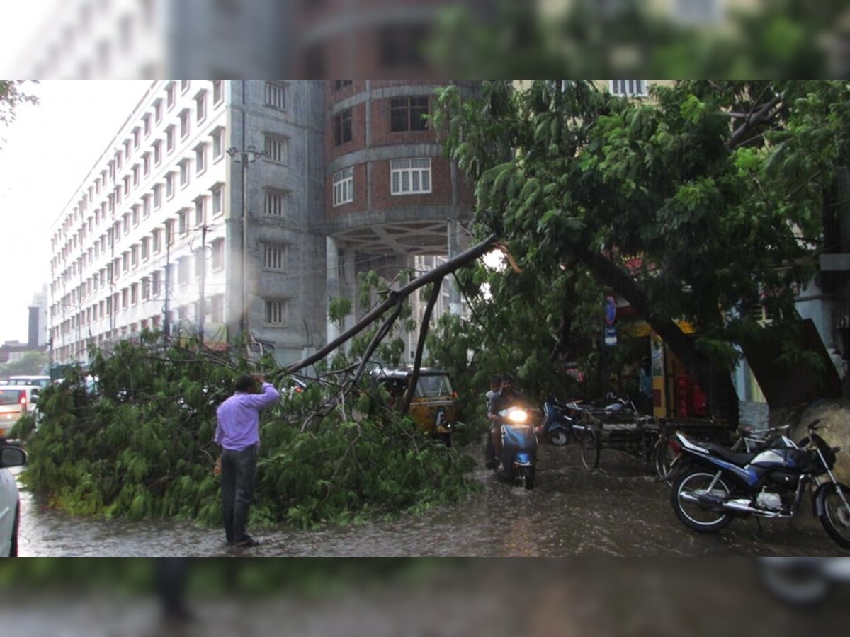 आंधी तूफाने की वजह से आए भारी बारिश के बाद हैदराबाद में सड़क पर गिरा पेड़. (IANS/3 May, 2018)