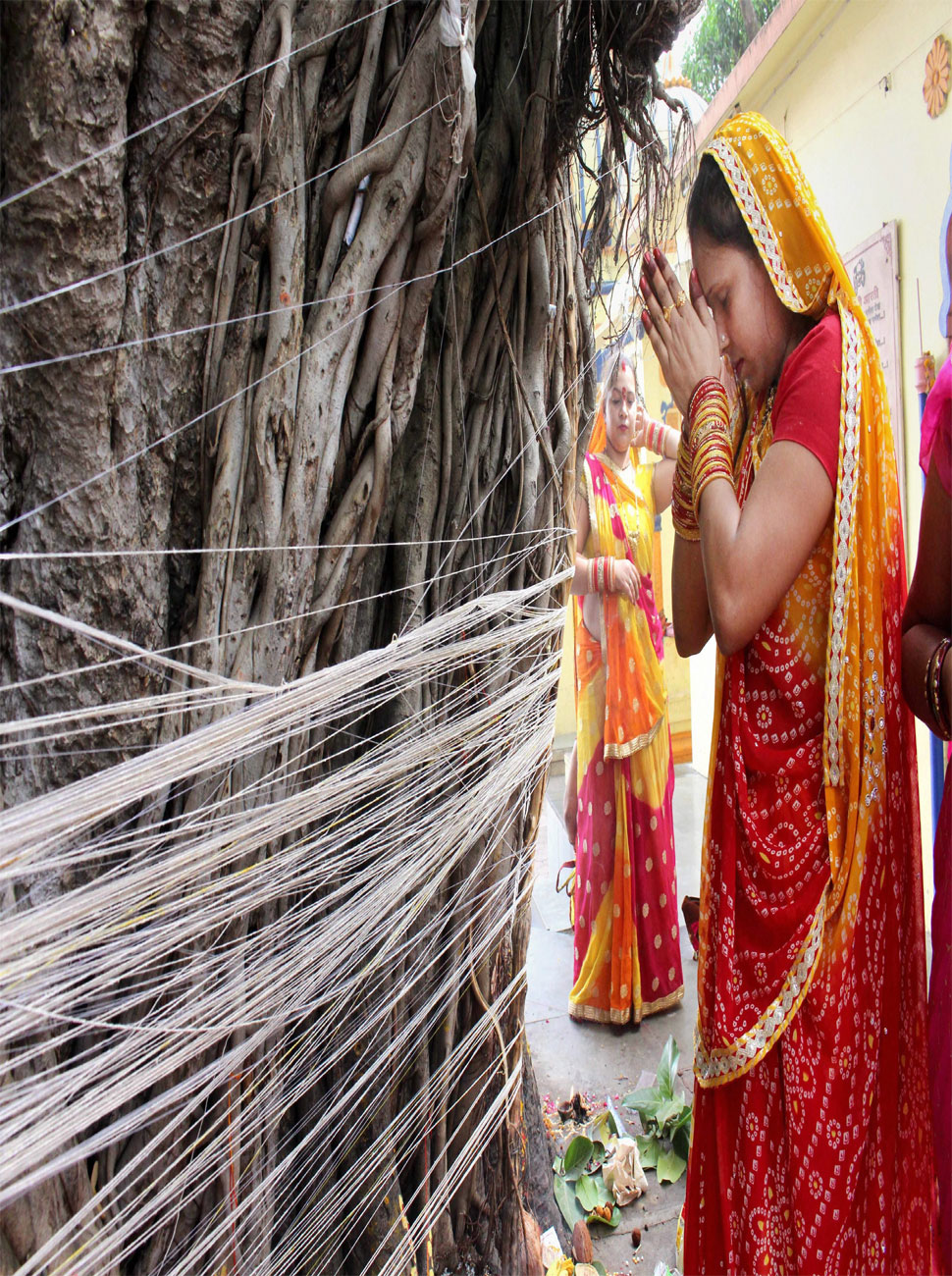 rituals near a Banyan tree during Vat Savitri Puja rituals near a Banyan tree during Vat Savitri Puja