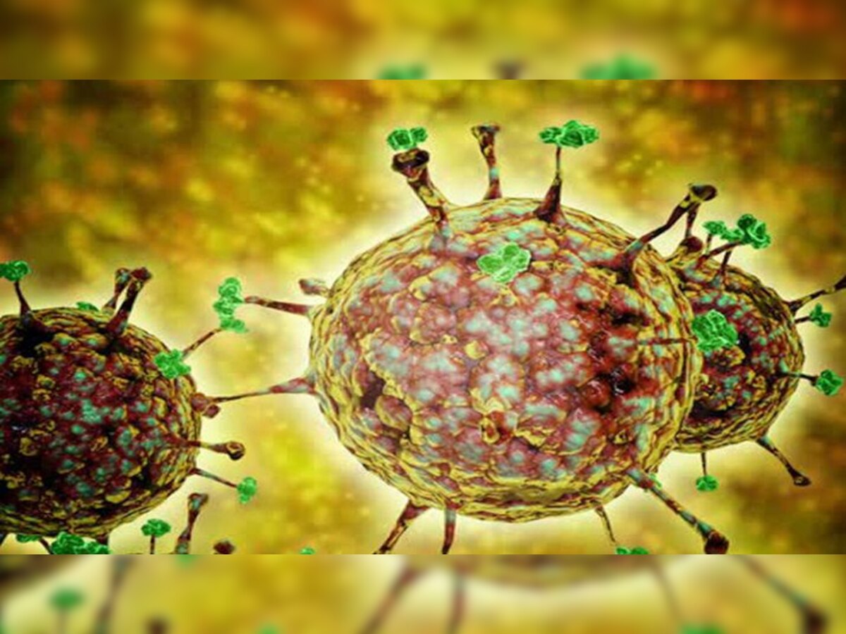 जानलेवा निपाह वायरस की भारत में दस्तक (प्रतीकात्मक तस्वीर)