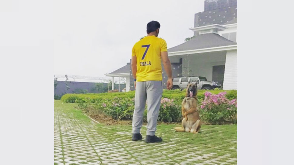MS Dhoni 7 Acre Farmhouse Kailashpati in Ranchi, Know about all | 7 एकड़  में फैला है महेंद्र सिंह धोनी का 'कैलाशपति', जानिए इसकी खूबियां