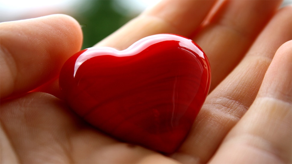 fat of a body can lead to heart disease in women fat of a body can lead to heart disease in women