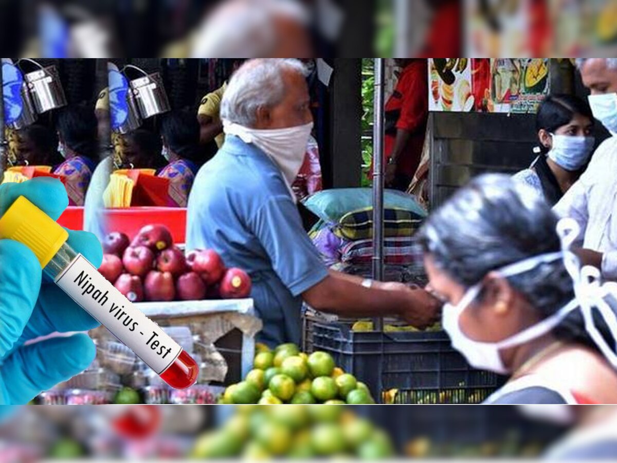 चेतावनी जारी होने के बाद दूसरे देश भी निपाह वायरस को लेकर अलर्ट हो गए हैं.