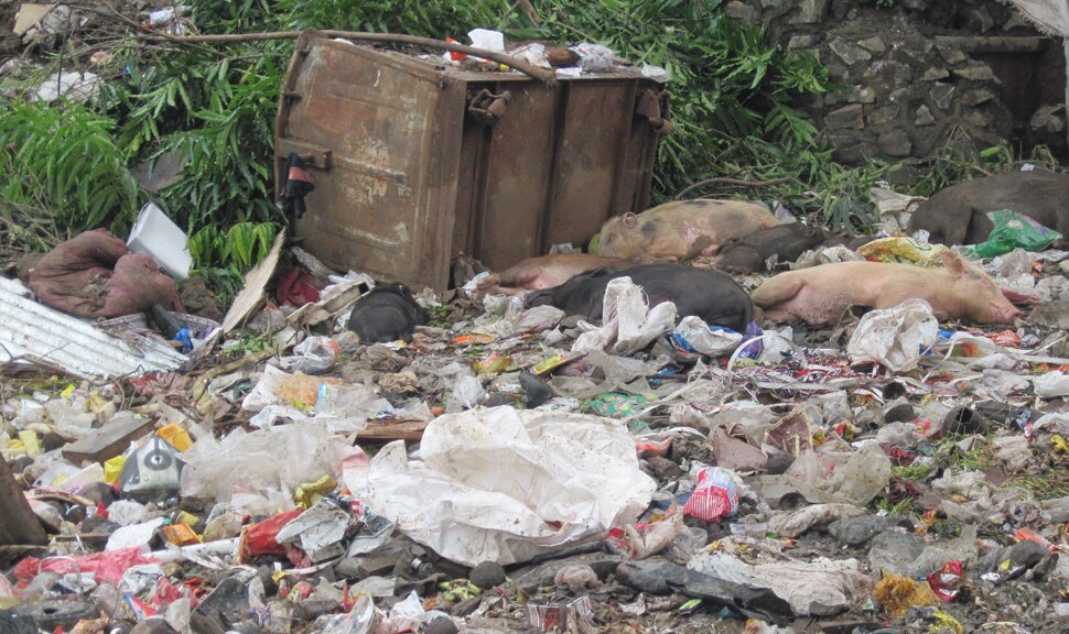 judge sit near garbage judge sit near garbage