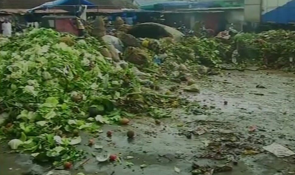judge sit near garbage in kochi judge sit near garbage in kochi