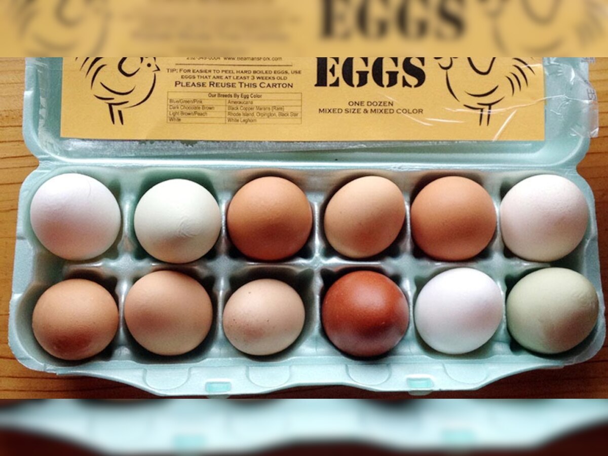 अंडा शाकाहारी है या मांसाहारी? वैज्ञानिकों ने दिया सही जवाब, नहीं जानते होंगे आप