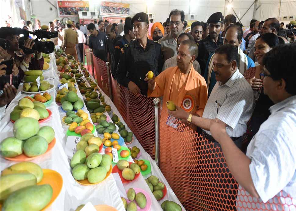 lucknow mango festival CM yogi name mango popular in Market लखनऊ