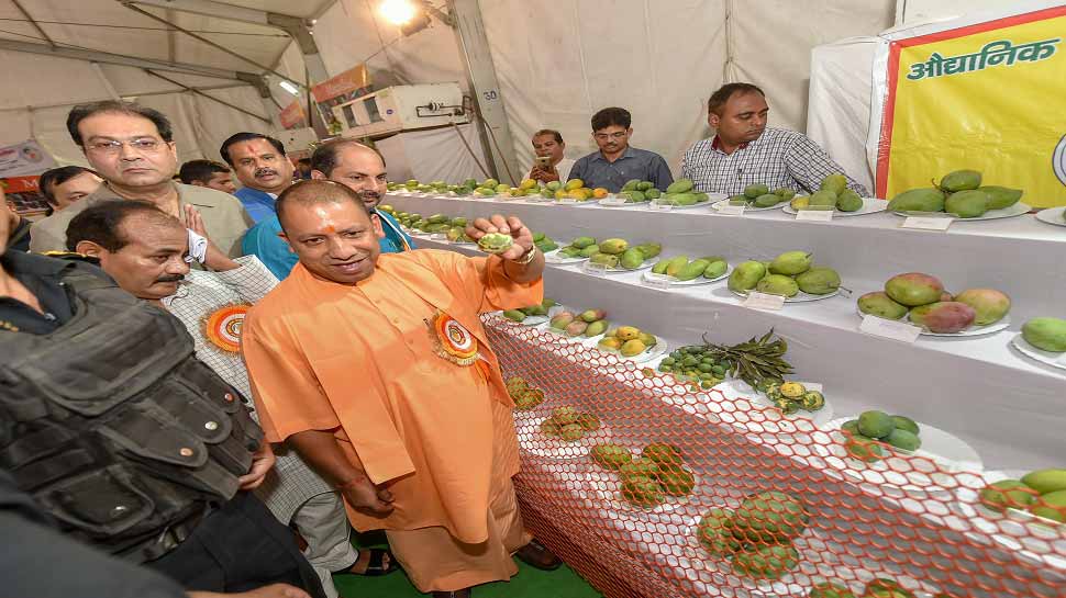 lucknow mango festival CM yogi name mango popular in Market लखनऊ