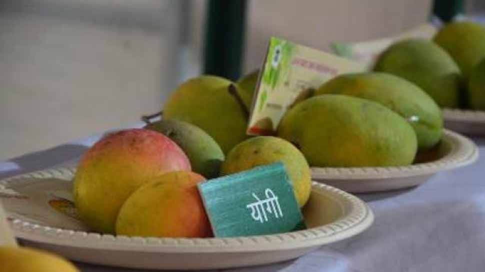 lucknow mango festival CM yogi name mango popular in Market लखनऊ