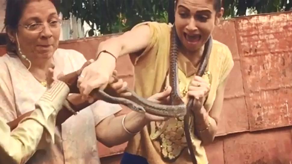 VIDEO: इस एक्ट्रेस के गले में सांप लटकाने पर हुआ कुछ ऐसा, देखकर उड़ जाएंगे होश VIDEO: इस एक्ट्रेस के गले में सांप लटकाने पर हुआ कुछ ऐसा, देखकर उड़ जाएंगे होश