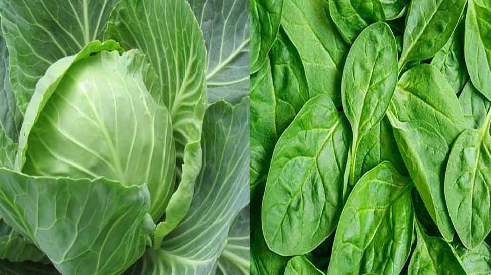 diet in monsoon diet in monsoon