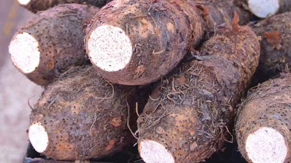 diet in monsoon diet in monsoon