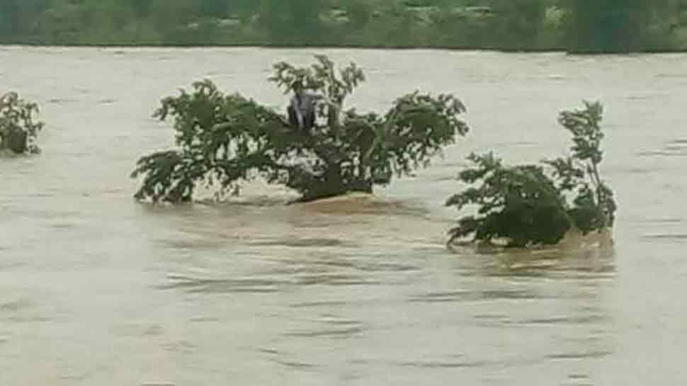 madhya pradesh vidisha Rescue Operation Of Young Man Flowing In river trapped on tree madhya pradesh vidisha Rescue Operation Of Young Man Flowing In river trapped on tree