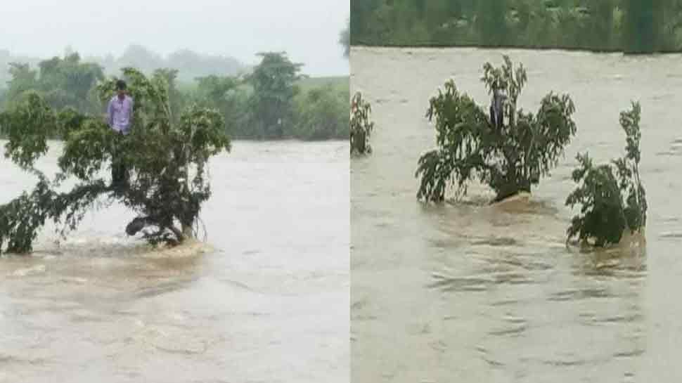 vidisha Rescue Operation Young Man Flowing In river trapped on tree vidisha Rescue Operation Young Man Flowing In river trapped on tree