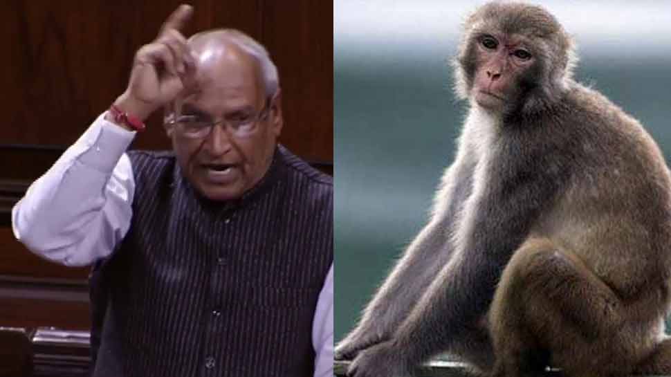 Vice President Venkaiah Naidu also victim of Monkey incitement Vice President Venkaiah Naidu also victim of Monkey incitement