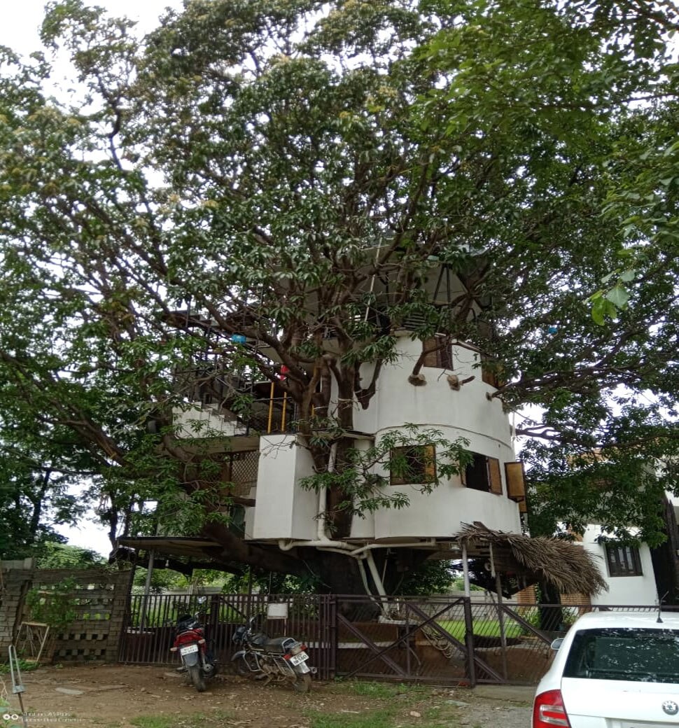 This man made four-storey tree house the mango tree  see photos