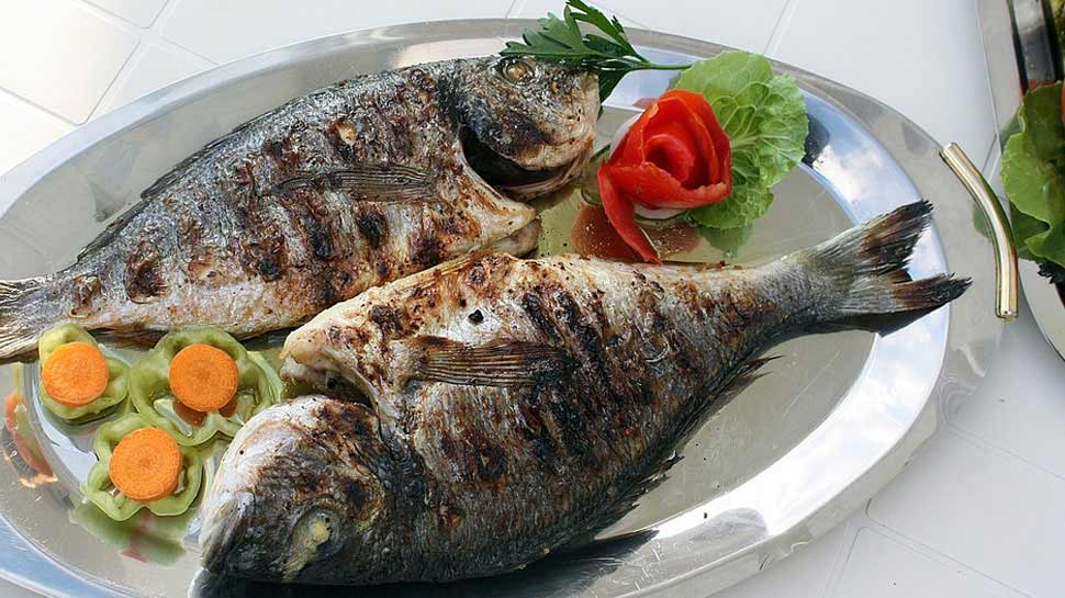 Fish can kill cancer cell Fish can kill cancer cell