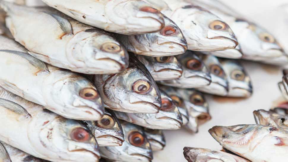 Eat fish for a longer life Eat fish for a longer life