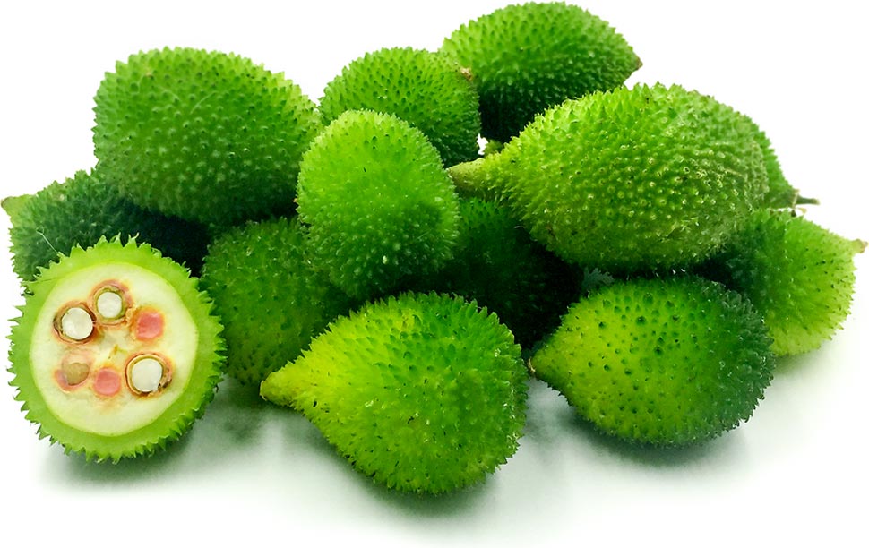 Kantola has much protein and fiber Kantola has much protein and fiber