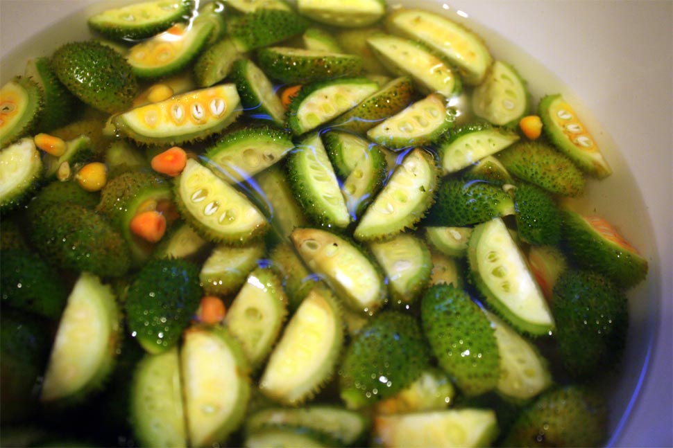 Kantola can cure high blood pressure Kantola can cure high blood pressure