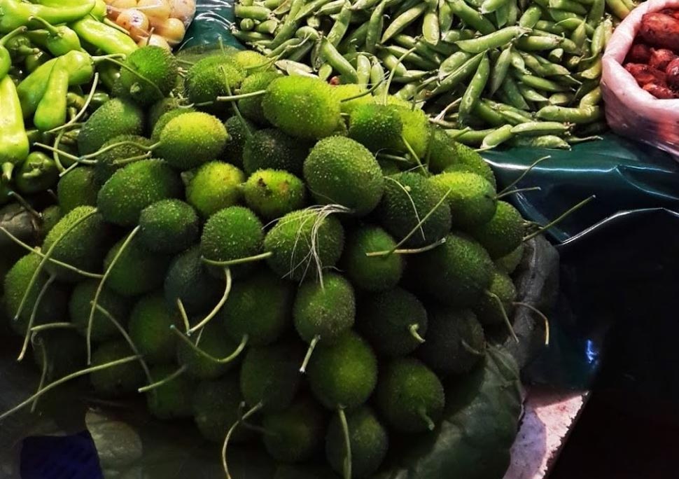 Kantola is much used for Weight lose Kantola is much used for Weight lose