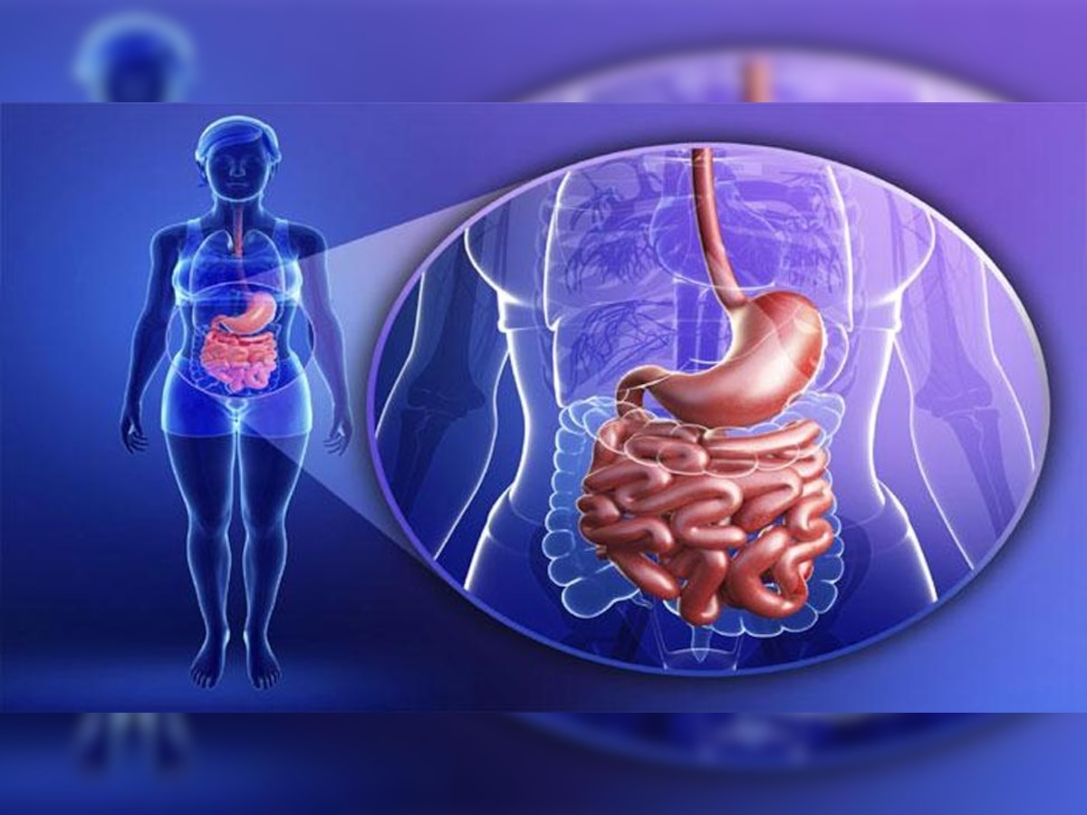सेनिटायजर्स से एक विशेष प्रकार के बैक्टीरिया में वृद्धि हुई है जो आंत में होता है.(प्रतीकात्मक तस्वीर) 