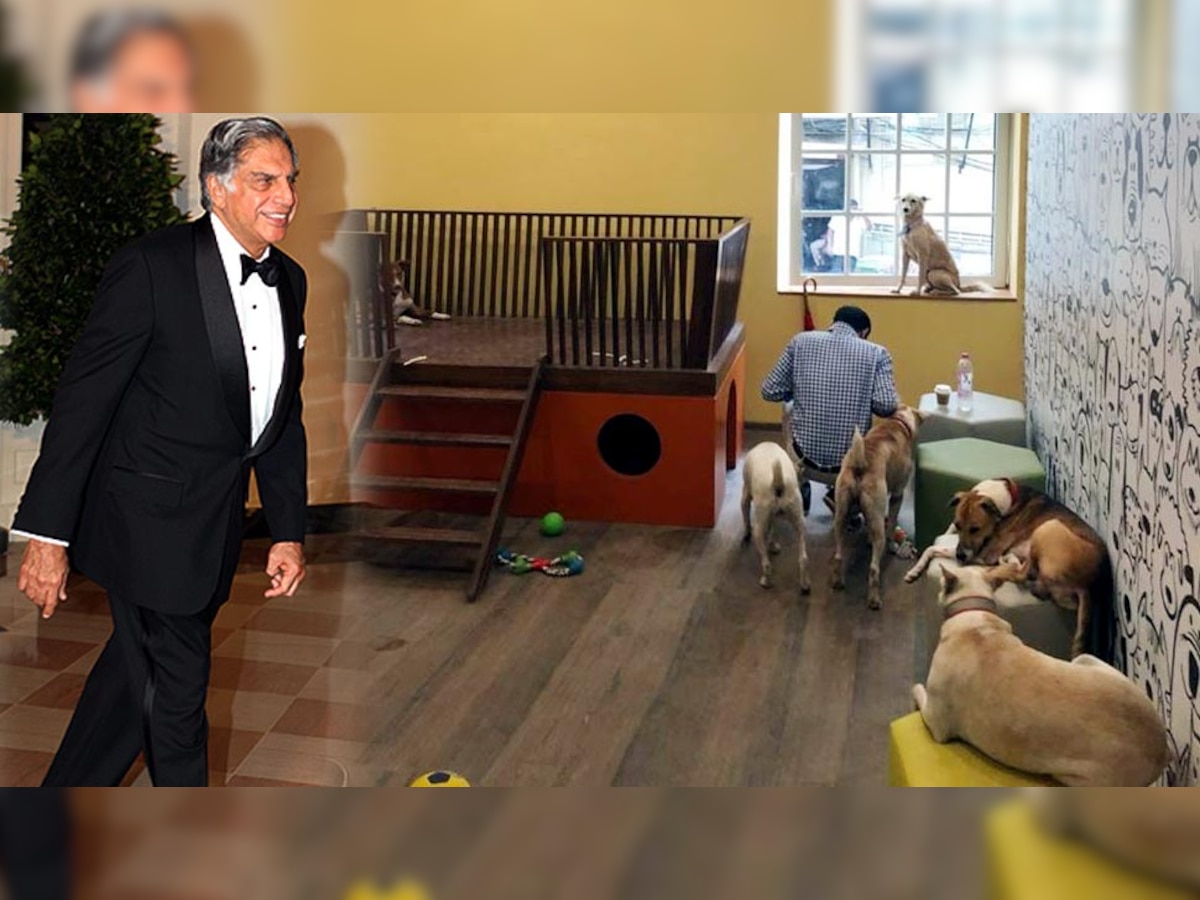 रतन टाटा ने कुत्तों के लिए खास यह कमरा डिजाइन करवाया है. (फोटो: फेसुबक)