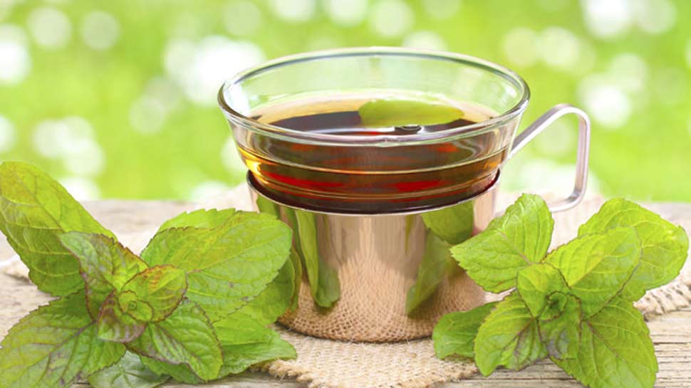 health benefits of green tea in hindi ग्रीन टी यानी सेहत का खजाना