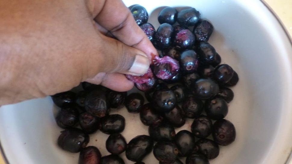 health-benefits-of-jamun-seeds-you-need-to-know-about