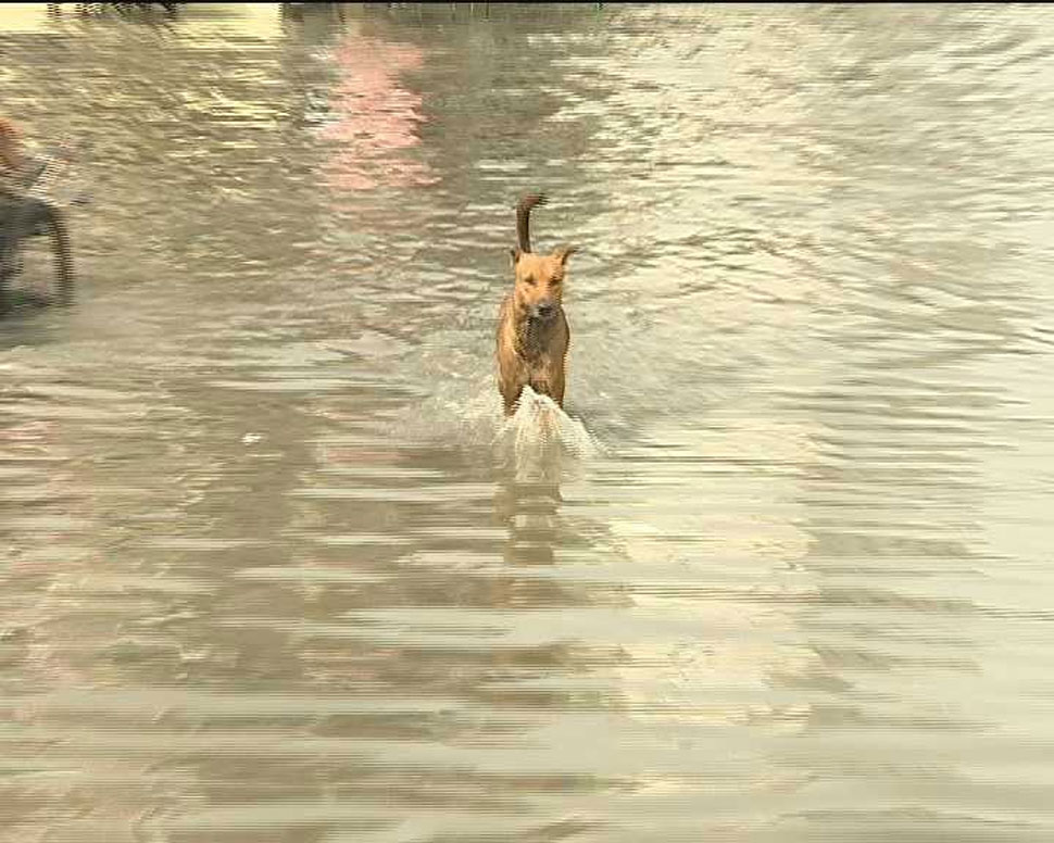 हालातों का जायजा लेने पहुंचे संदीप शर्मा Kota, Rajasthan News, Rainfall, Flood Situation