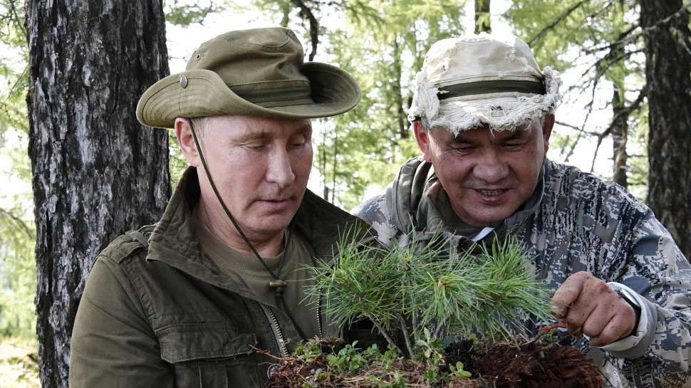 सोशल मीडिया पर पुतिन का स्पोर्टी लुक वायरल हो रहा है Vladimir Putin's Siberian hiking pictures