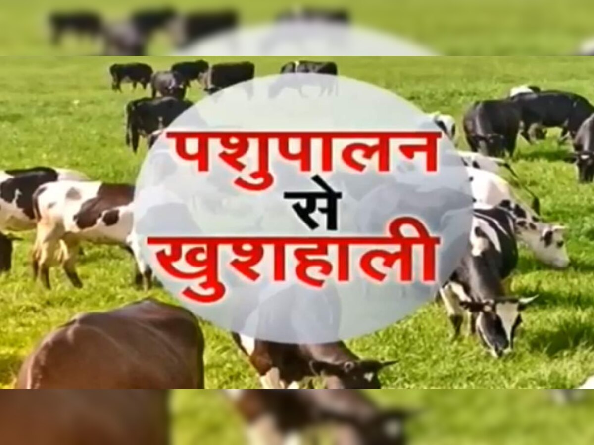 झारखंड: किसानों की इनकम बढ़ाने के लिए उन्हें पशुपालन से जोड़ रही है सरकार