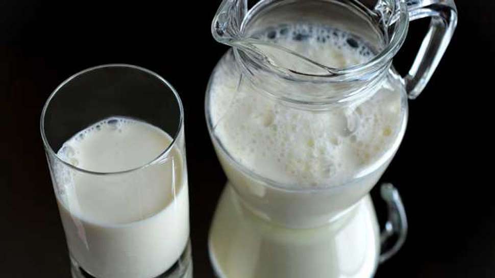 वजन घटाने में सहायक health benefits of drinking 3 cup cow milk every day in hindi