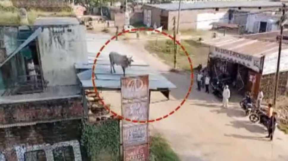 हरकत में आ गए लोग People in action