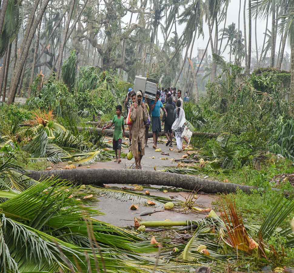 कई जगह उखड़े पेड़ Many trees ravaged