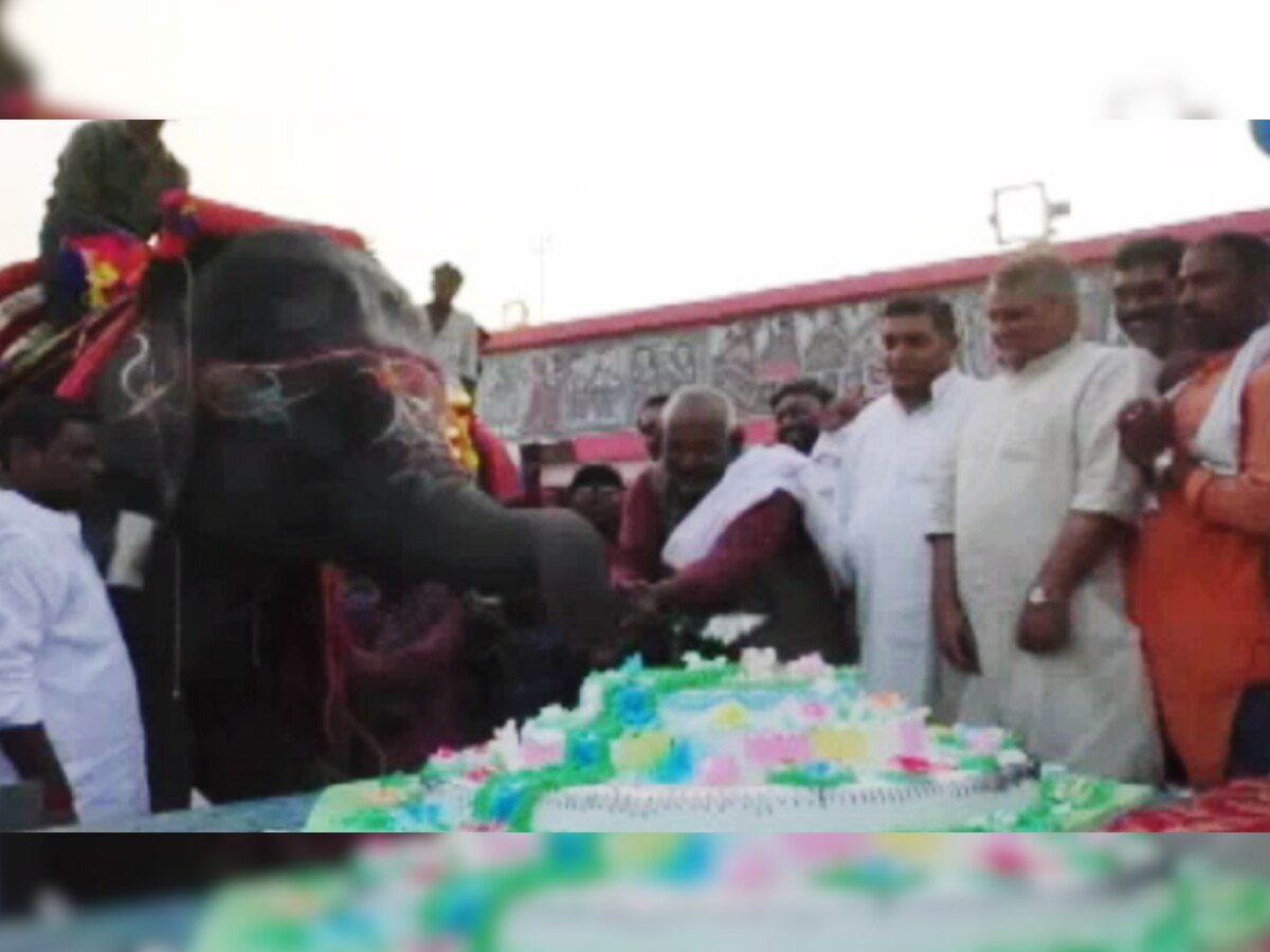 धूमधाम से मनाया गया हाथी का जन्मदिन.