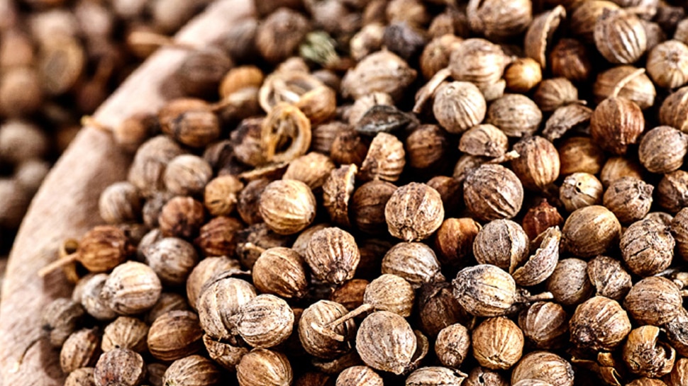 धनिया के बीज Coriander seeds on Dhanteras