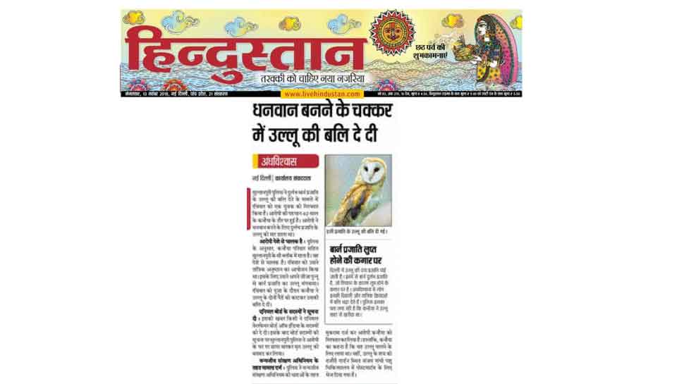 बार्न प्रजाति लुप्त होने की कगार पर Man sacrifices barn owl to become rich, arrested