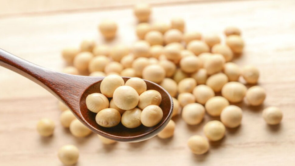 सोयाबीन Soybean's benefits in winter