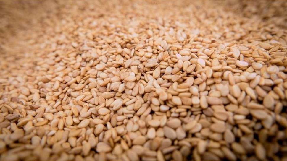 तिल sesame seed's benefit in winter