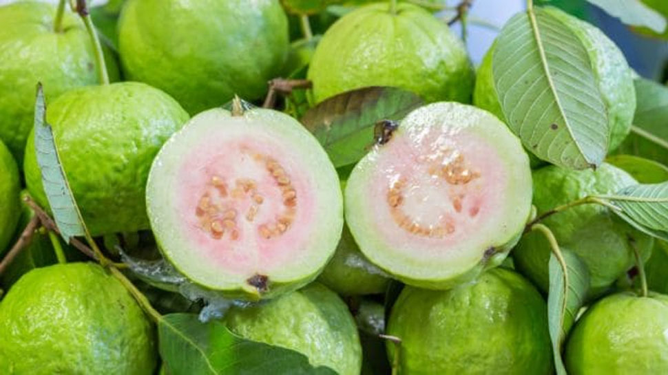 These are 10 benefits of eating guava in winter, if you know, you will eat  every