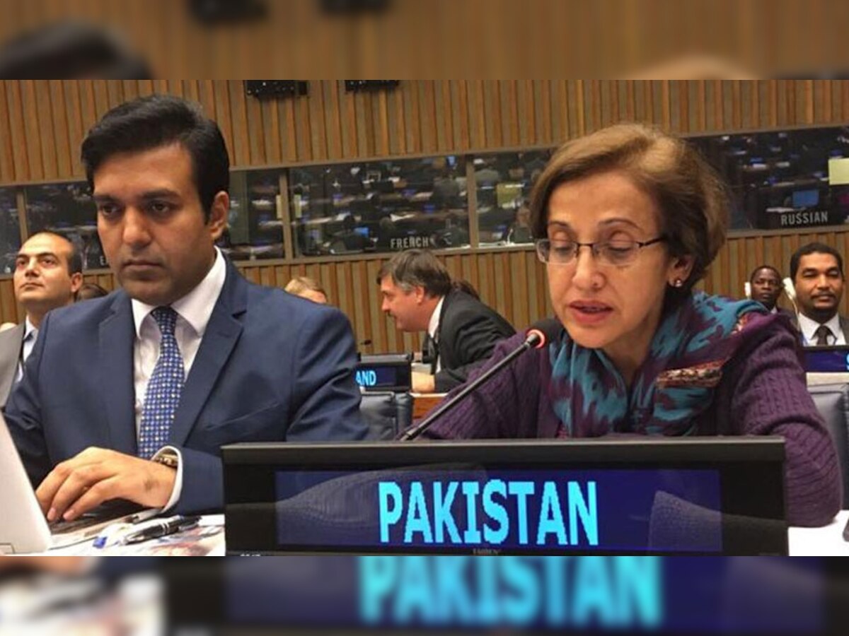 पाकिस्तान की विदेश सचिव तहमीना जंजुआ. (फाइल फोटो)