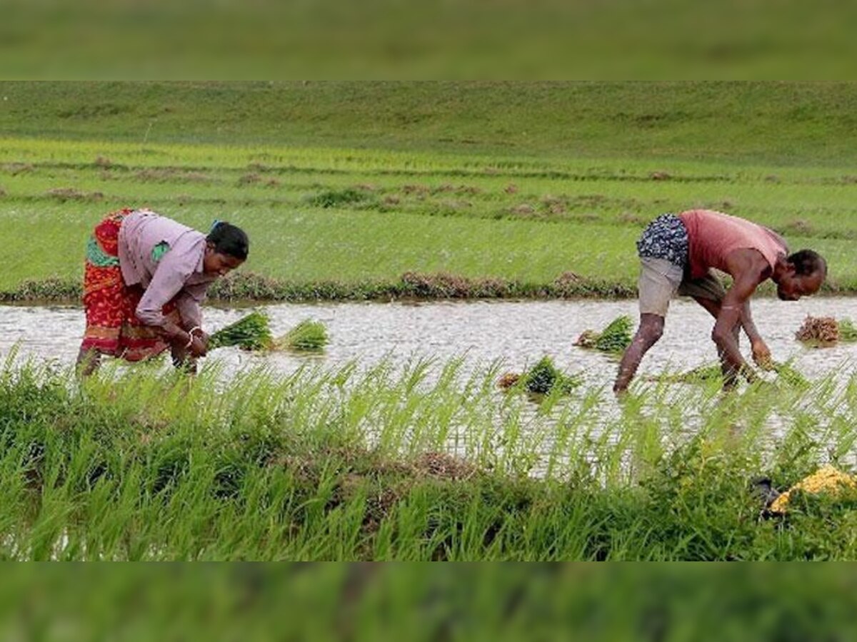 किसानों के लिए खुशखबरी, वैज्ञानिकों ने खोजा ऐसा तरीका कि खेती करने में होगी सुविधा 